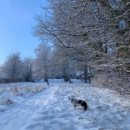 The Little House Of *