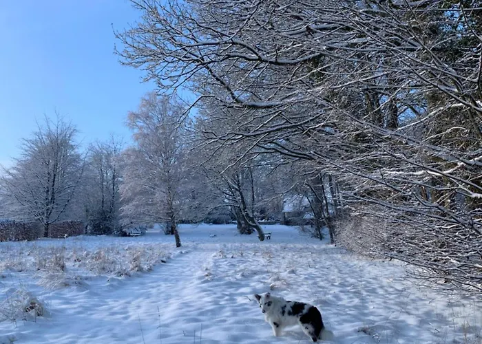 The Little House Of *